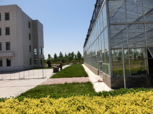 天津天羽翔生態園（陽光板智能連棟溫室）